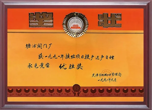 1991年技改项目投产达产目标承包竞赛优胜奖