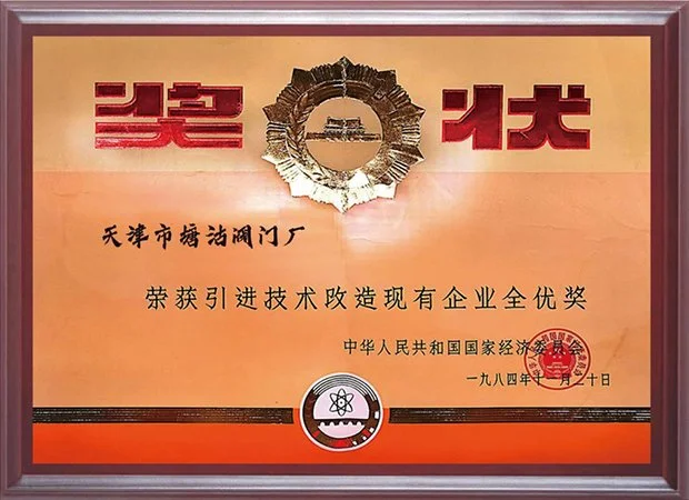 1984年荣获引进技术改造现有企业全优奖