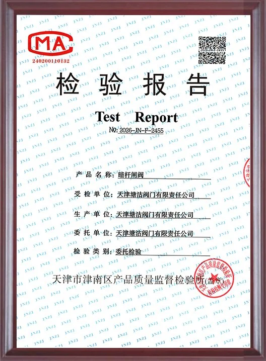 检验报告-暗杆闸阀